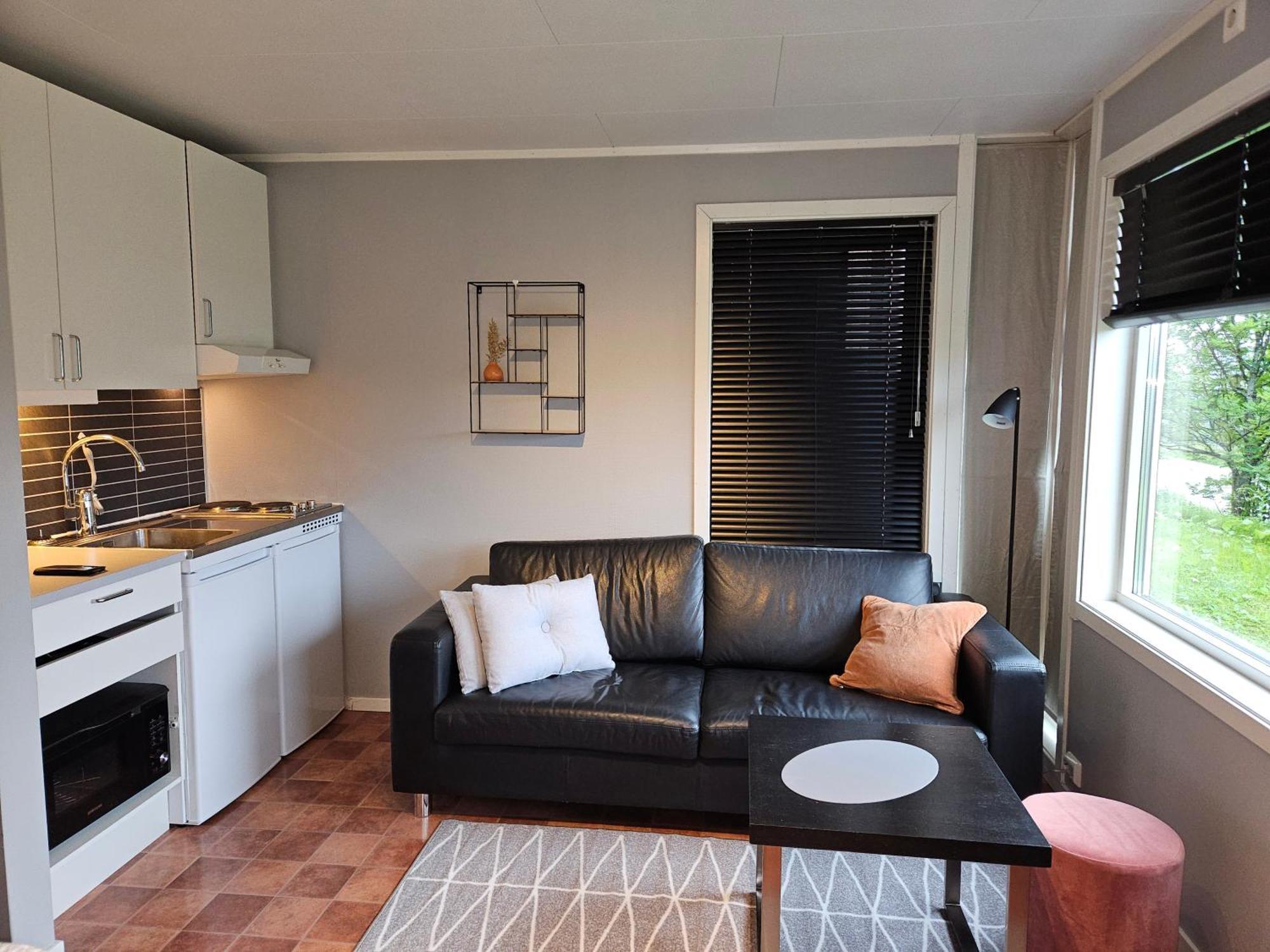 Sentral Hybelleilighet I Apartment *